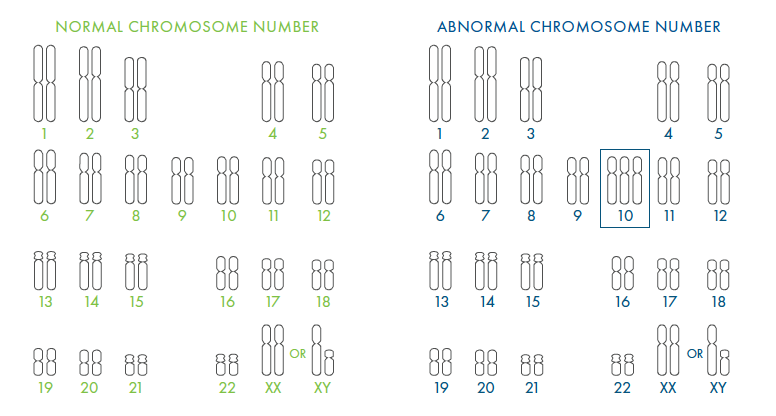 Comparison between normal and an abnormal number of chromosomes.